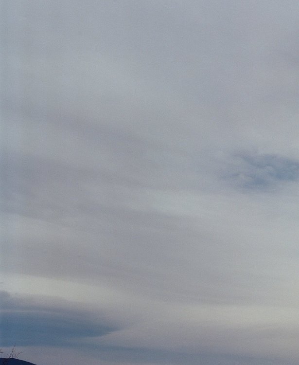 Image (1).jpg