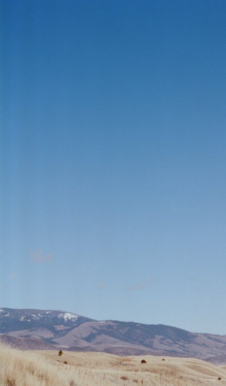Image (3).jpg