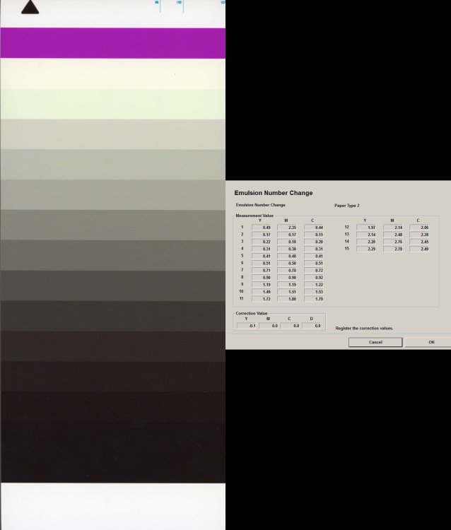 Balance Strip Data.jpg